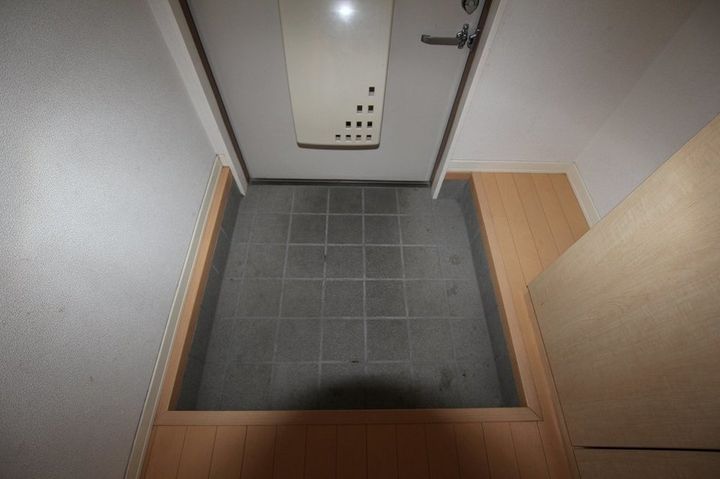 ミレニアムハイム3号館103の玄関