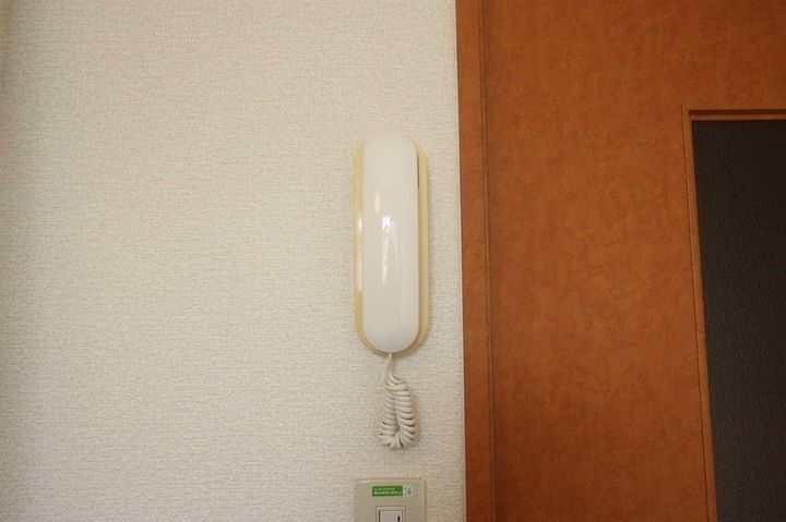 レオパレスAdonis202の内装