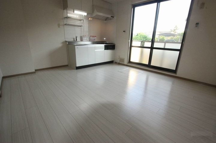 フレッシュグリーン21 B棟102の居間