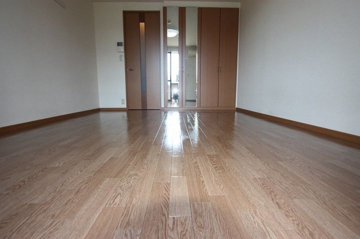 メゾン・プロスパー105の居間