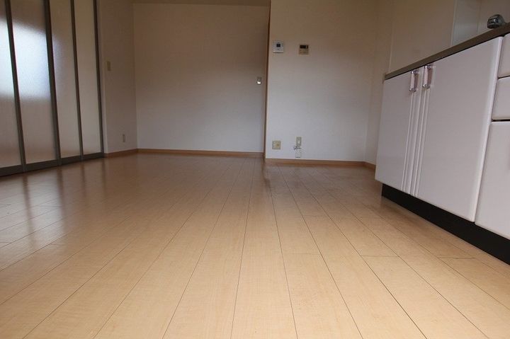 リベルタ スクエア A棟201の居間