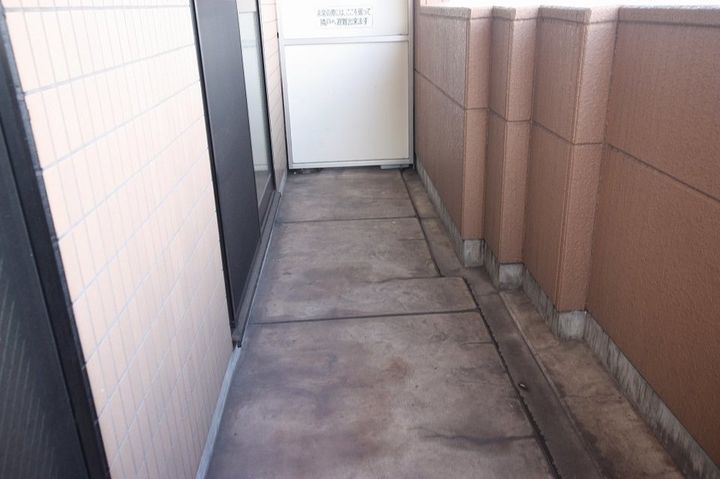 アレキサンドリア205のその他画像