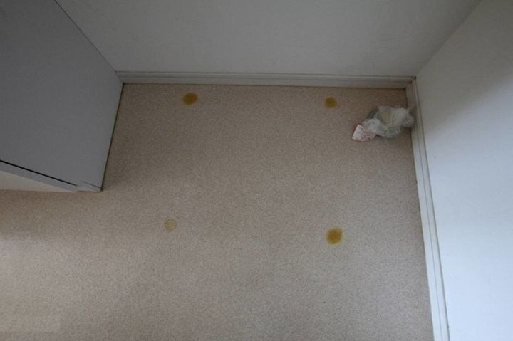 ピエタ102のその他画像