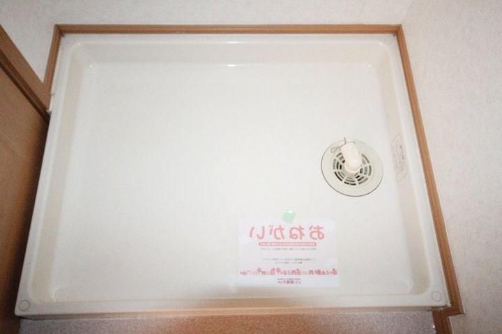 ドエルエバーグリーンC102のその他画像