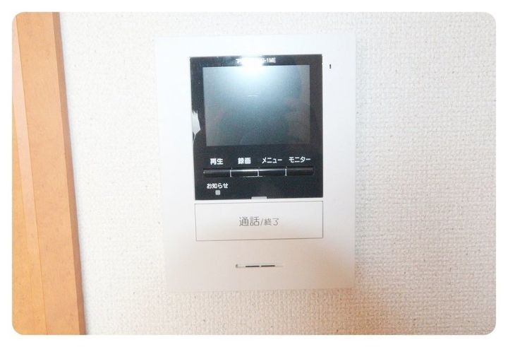 レオパレスクリスマスローズ208の内装