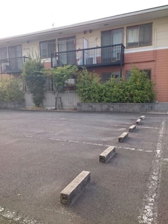 ニューエルディム大樹A101の周辺