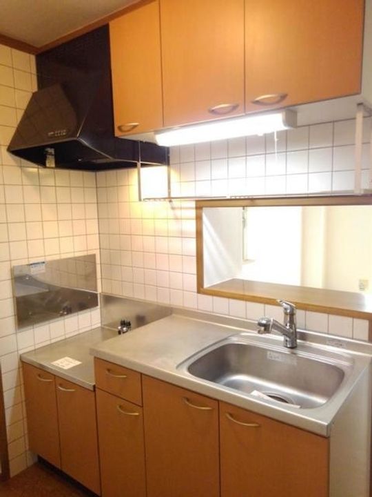 サンライズ川原 D101のキッチン