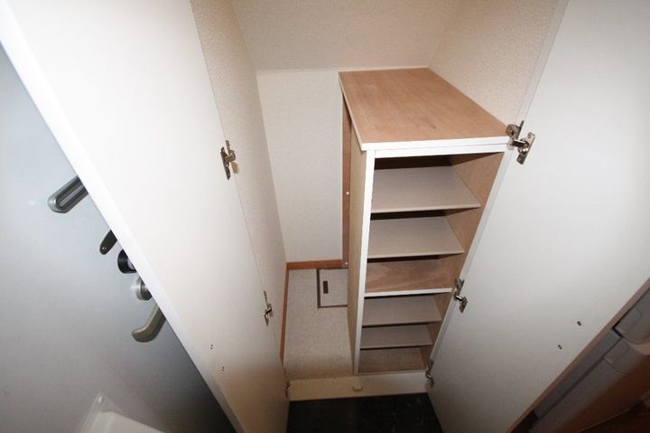 レオパレスアイアイ209の玄関