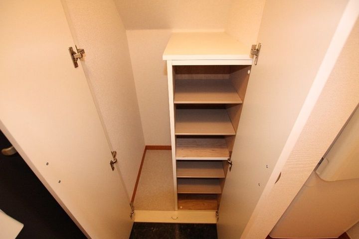 レオパレスダンダンめぐみ210の玄関