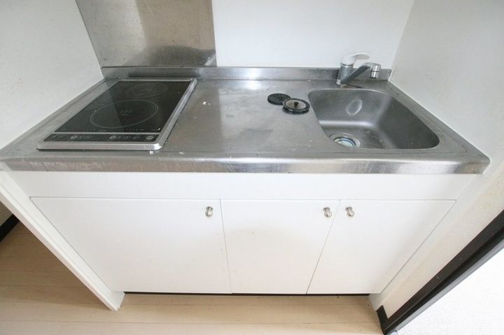 レオネクストボレロ三条202のキッチン