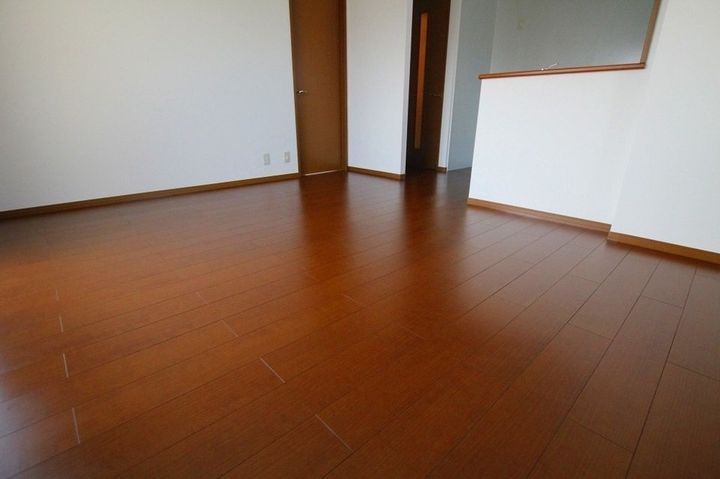 リビングタウン松縄 C棟101の居間