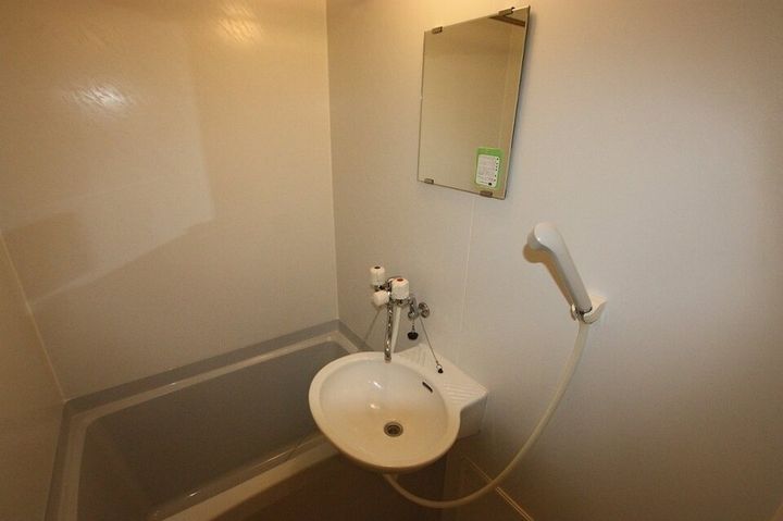 レオパレス楓208の風呂