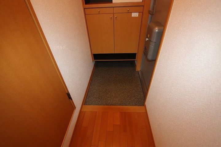 ツインハーモニーB棟202の玄関