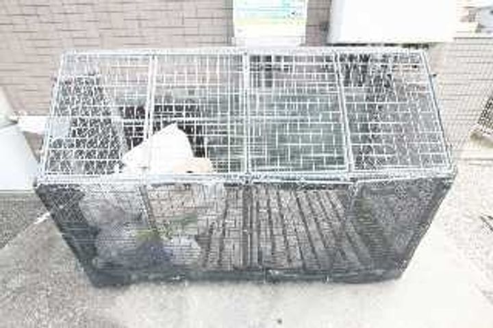 カローラ林町205の周辺