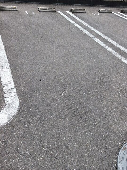 HARUKU 80 B203のその他画像