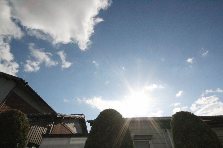 コートMT H館101のその他画像