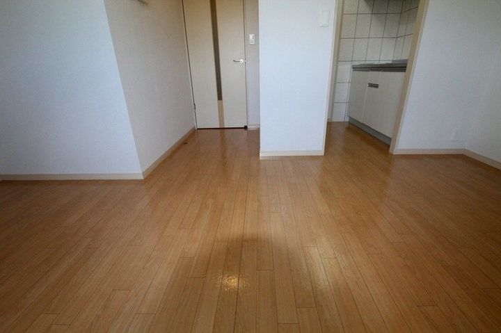 ジェミニ白銀 A202の居間