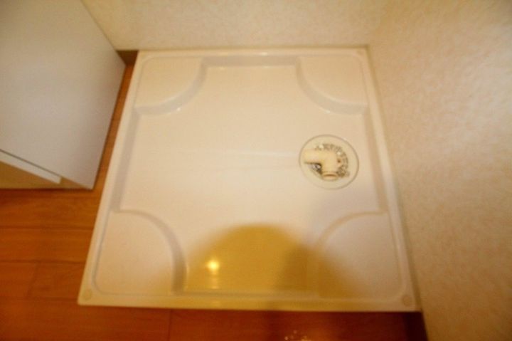 ジェミニ白銀 A202のその他画像