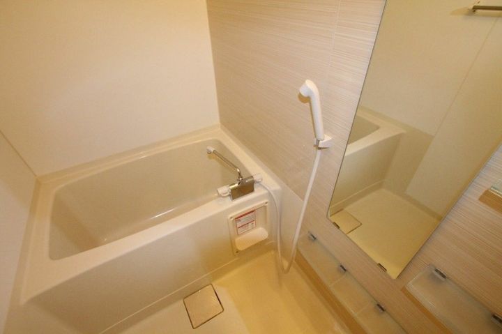 ジェミニ白銀 A202の風呂