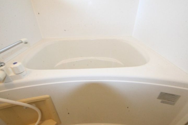 バリュージュ泉保105の風呂