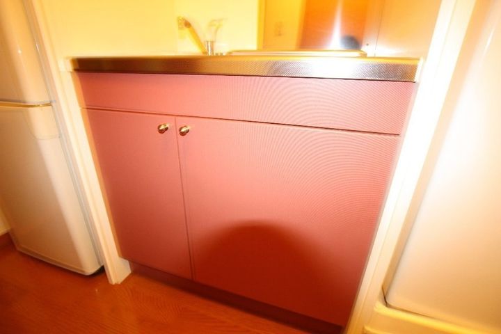 レオパレスアリシア301のその他画像