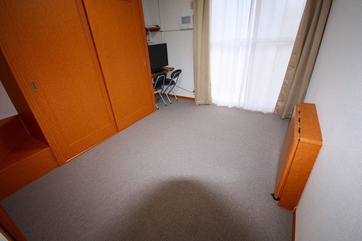 レオパレスリリアンス208の居間