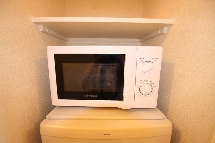レオネクスト東大浜3101のその他画像
