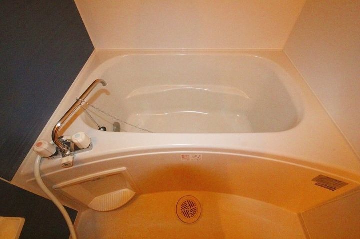 ザ・グローブ203の風呂