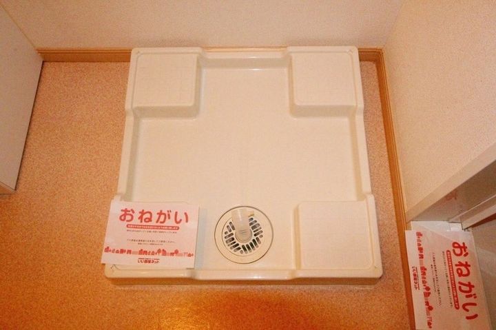 ザ・グローブ203のその他画像