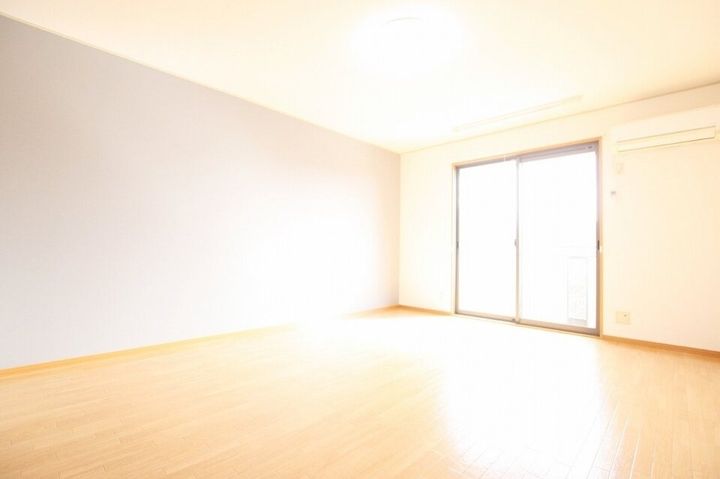 モーニンググローリー203の居間