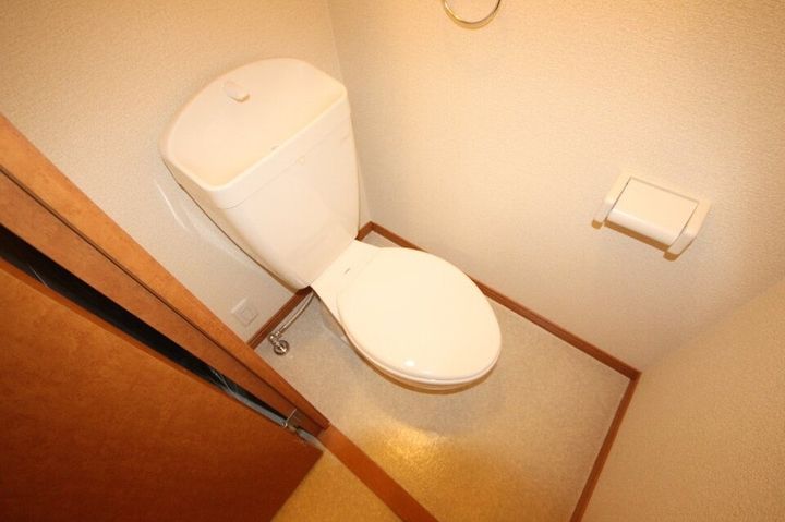 レオパレスダンダンめぐみ207の内装