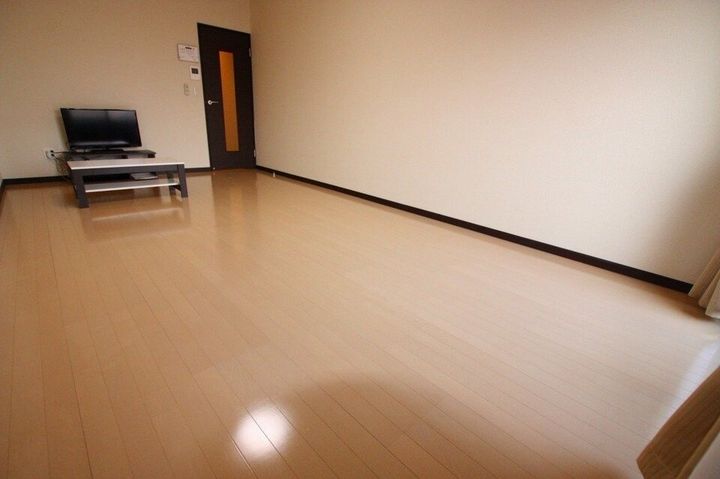レオネクストクレール国分寺208の居間