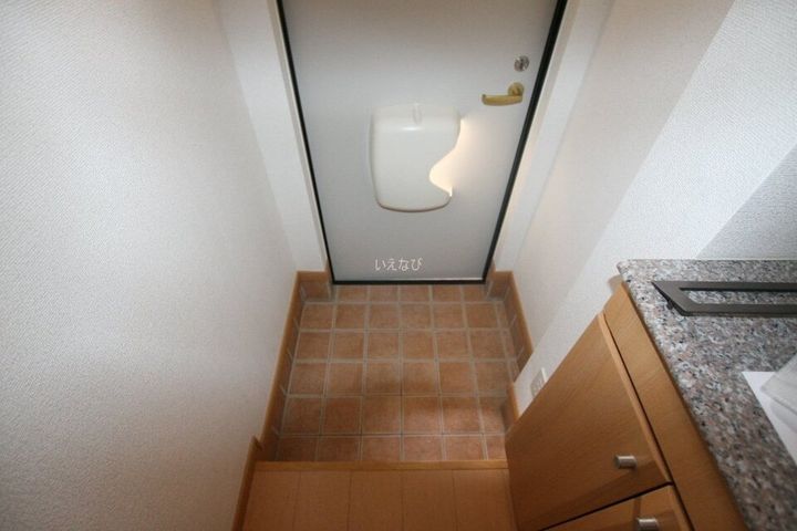 ニュープレイス B101の玄関