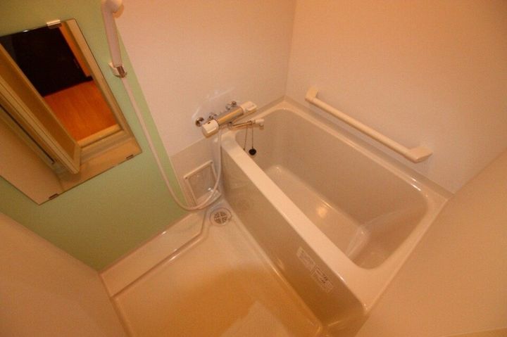 レオネクストクレール国分寺101の風呂