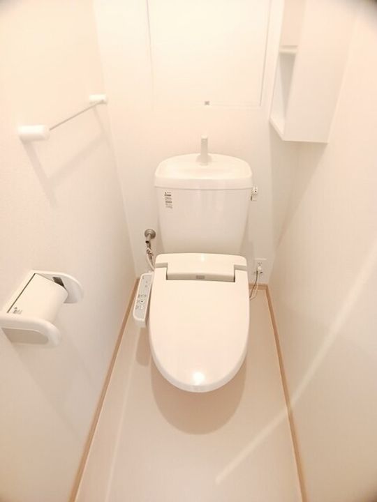 HARUKU 80 B203のその他画像