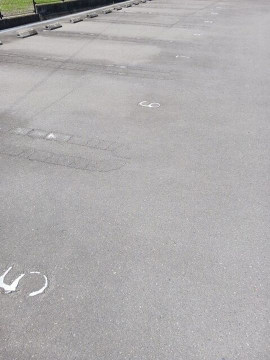 ニューエレガント藤 B204の周辺