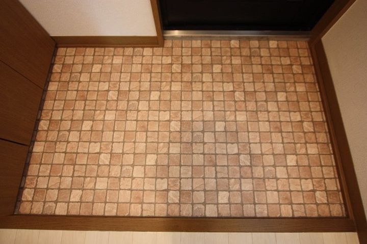 ル・グラン Ⅲ(トロワ)0105の玄関