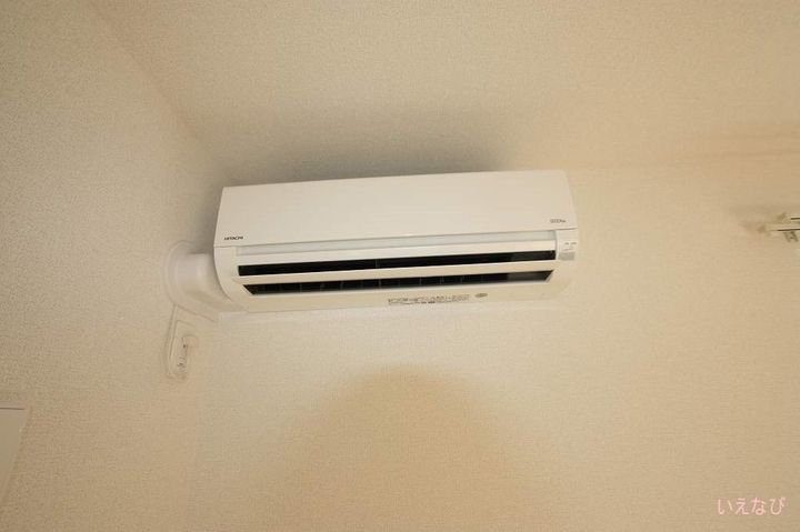 ダングラッツェ304のその他画像