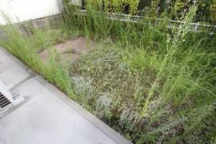 グランマスト多治米 C棟101のその他画像