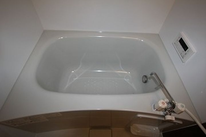 ラフィネ大門0101の風呂