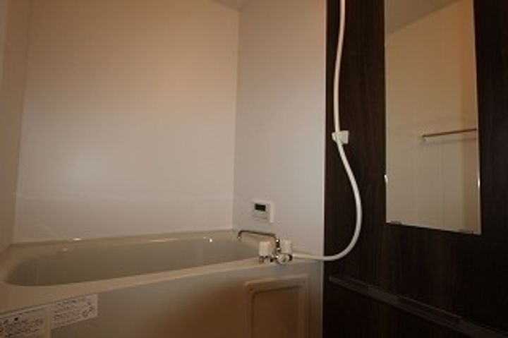 ラフィネ大門0101の風呂