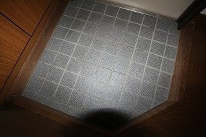 リバーコートカドヤ0302の玄関