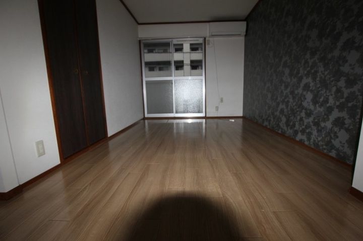 ハイネス本庄206の居間