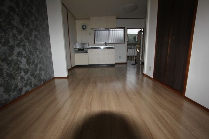 ハイネス本庄206の居間
