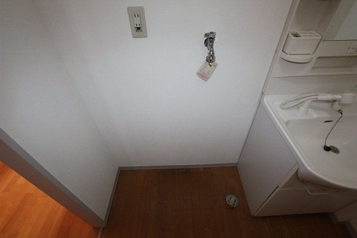 レアンドロス0306のその他画像