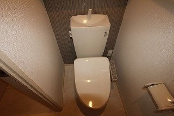 シュシュ0101のその他画像