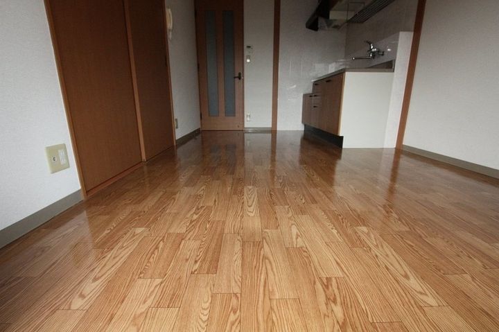 ミレニアム・ハイム1番館205の居間