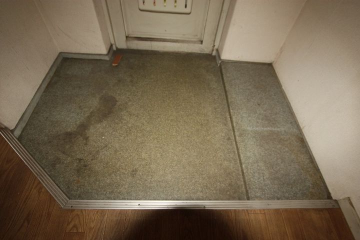 新涯マンションB0501の玄関