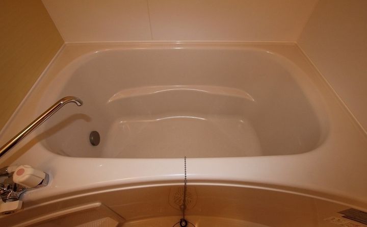 グリーンビレッジ A・H202の風呂