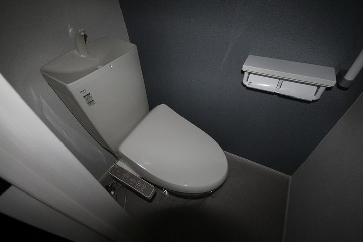 ドウェル ナルシサス0202のその他画像